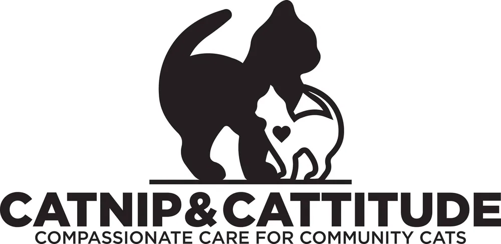 Catnip and Cattitude